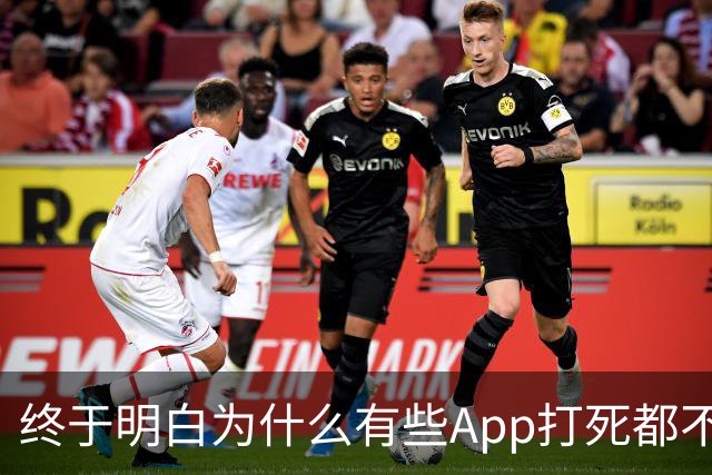 终于明白为什么有些App打死都不适配鸿蒙系统！真相远比想象现实